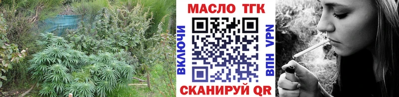 Дистиллят ТГК THC oil  купить наркотик  MEGA вход  Тамбов 